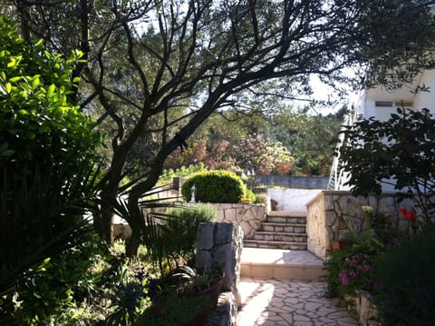 The mediterranean garden