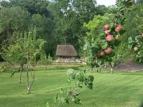 Access to the property, parking