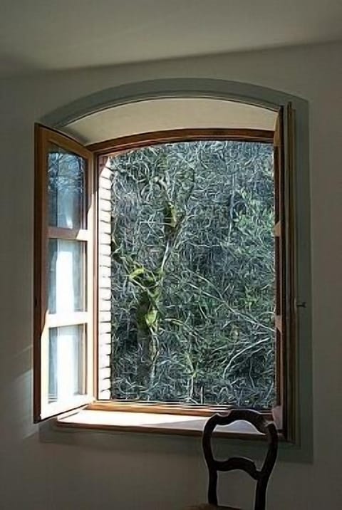 Bedroom window overlooking stream