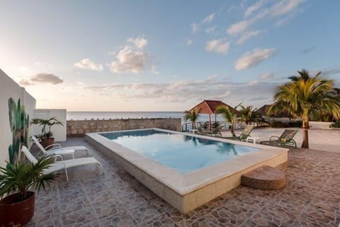A large backyard with a saltwater pool and beach area overlooks the ocean