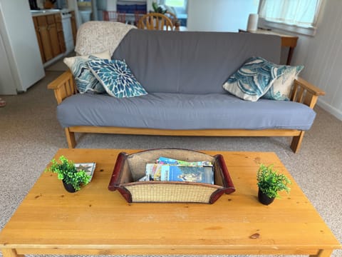 Full size futon located in open living space