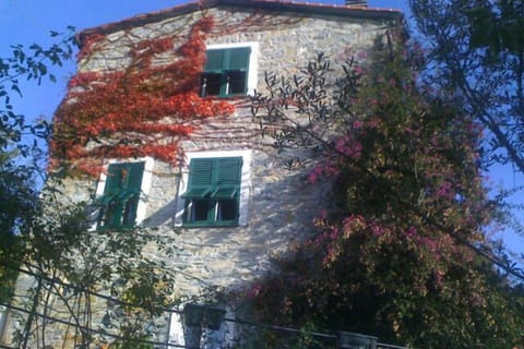 ... and in autumm ...