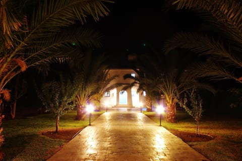frond side by night
