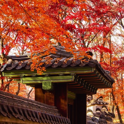 Color of Korea Autumn