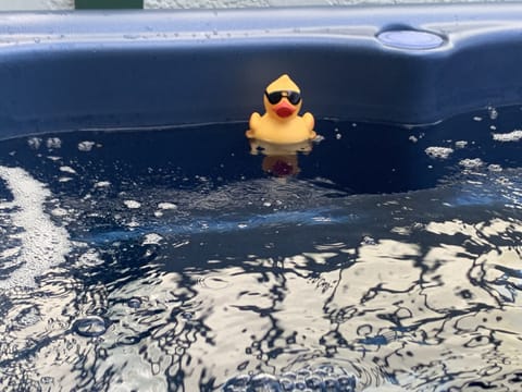 Regal On The Regal. 5 star accommodations and location!!! 