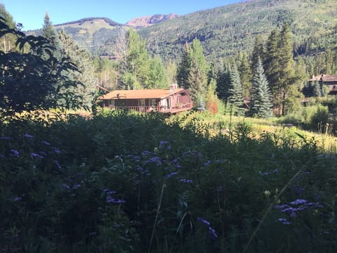 amazing hiking right from our driveway!
