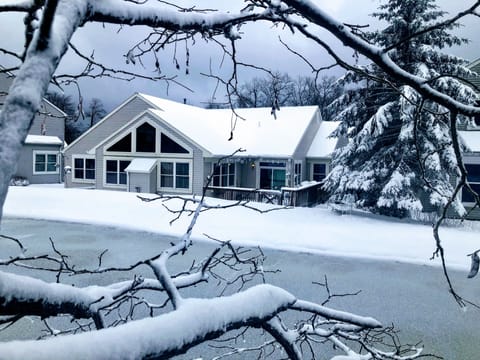 Back yard and pond
