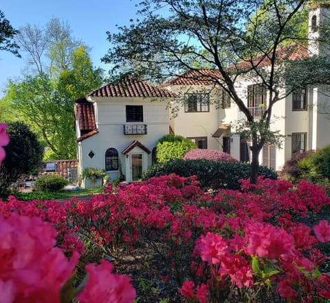 The Villa