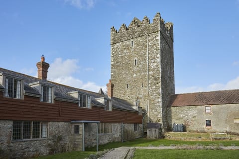 Bagenal Harvey Cottage and Butlerstown Castle