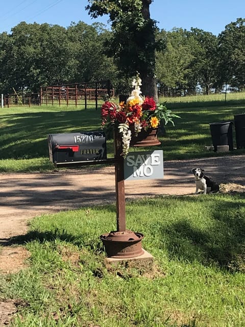 Welcome to SAVE,MO Cottage-
mailbox - Holly says, "Welcome and hello guest!"