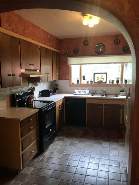 spacious kitchen with modern appliances