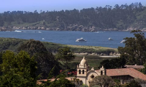 Whales in Carmel Bay