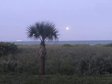 Sunrise and cruise ship passing in front of condo. 