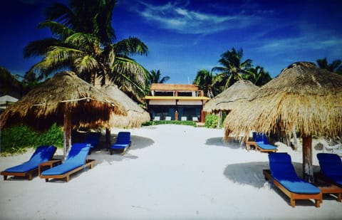 This is our pristine beach where you can sunbathe, swim or walk for miles 