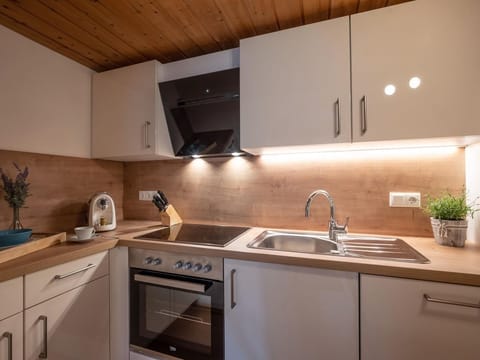 Apartment Lavender - Apartment / 3 bedrooms / bath, WC Apartment in Ellmau