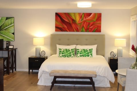 Bright, clean and tastefully decorated one bedroom studio close to the beach