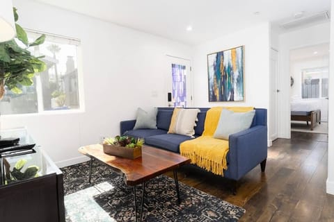 Living room (sofa bed, AC, TV, natural light)