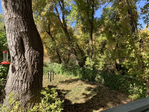 View from the front porch