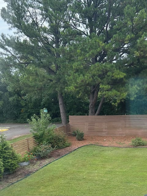 View from the kitchen