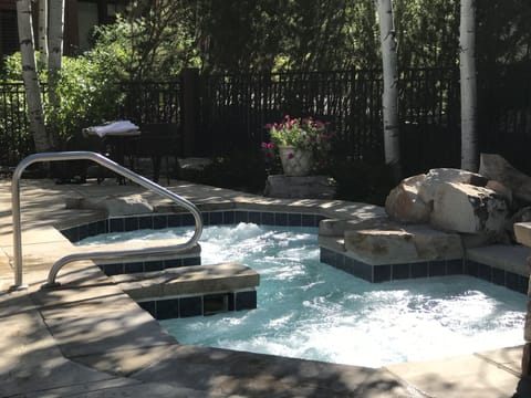 Hot Tub for your large group 