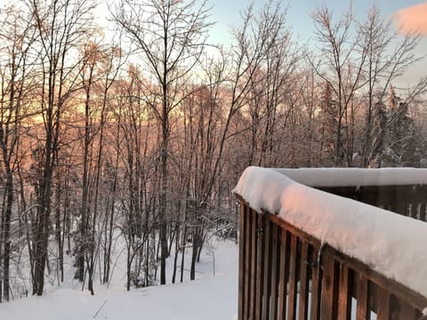View of snowy trees from our deck