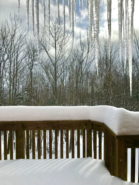 Snow on the deck

