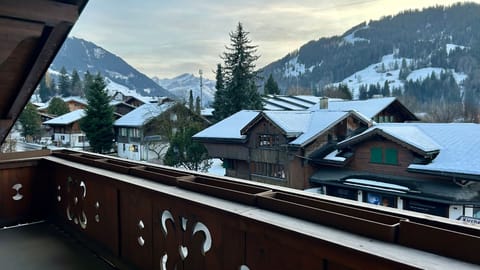 Big balcony from living room (Winter 1)