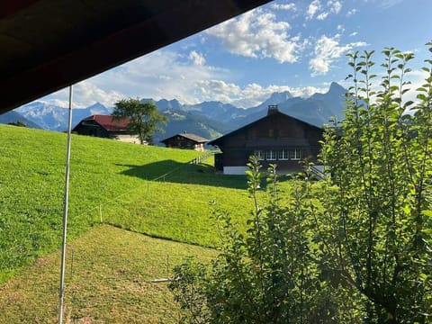 beautiful mountain views 