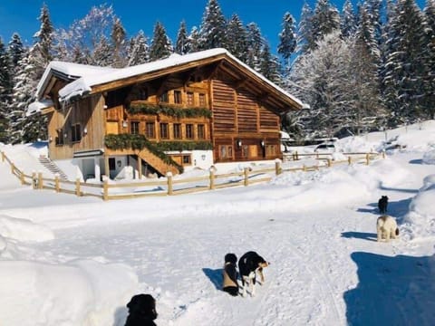 the chalet on a sunny winter day 