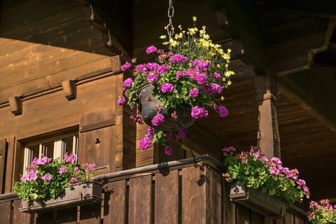 Stunning bright chalet by the Swiss Alps
