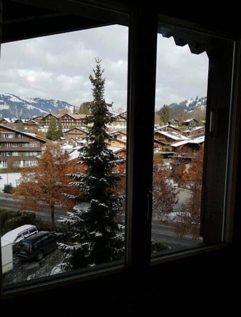 In winter, the entire town is white. In summer, it's beautifully green and woody brown