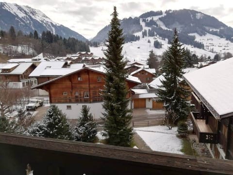 The winter views of the ski slopes (Winter 1)