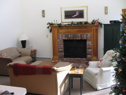 Living Room w/ gas fireplace
