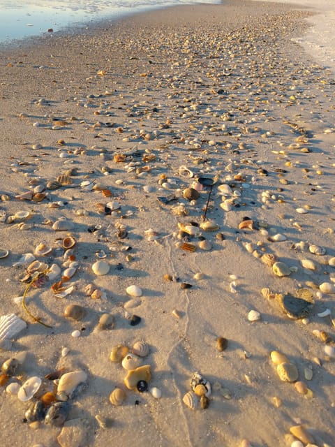 Miles of end beaches just a few steps away!