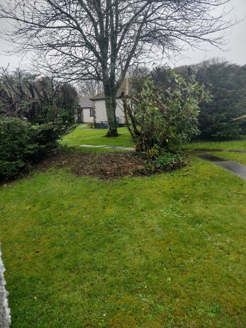 Looking from the kitchen window