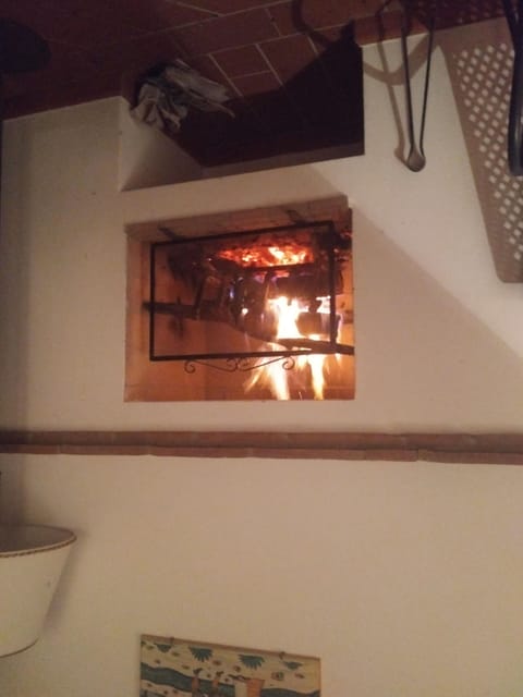 Fireplace in the living area.