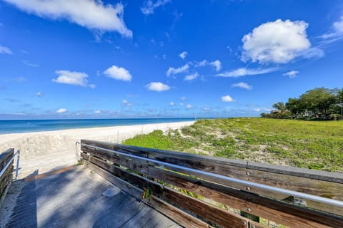 Boardwalk to beautiful Indian Rocks Beach (1)