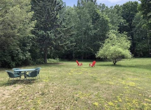 Large and private back yard