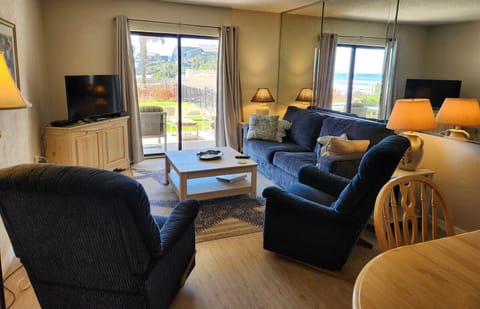 Living Room and Outside View