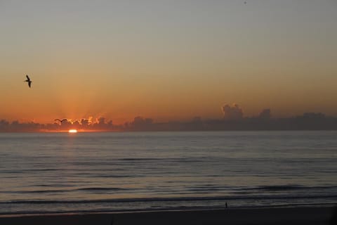 Picture taken from balcony  