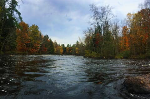 Peshtigo River in the fall.