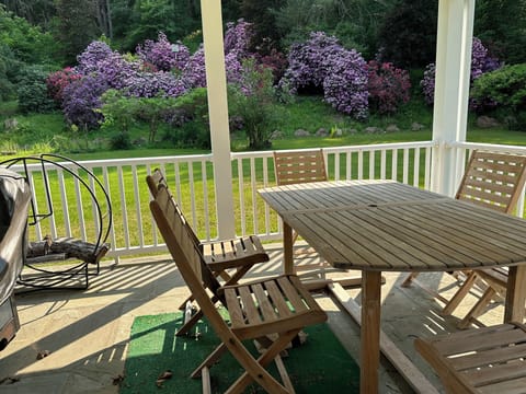 Back deck with a BBQ grill accessed from the TV game room