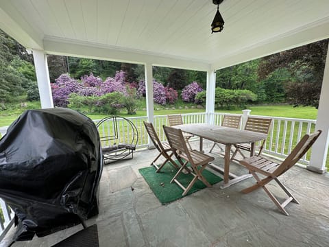 Back deck with a BBQ grill accessed from the TV game room
