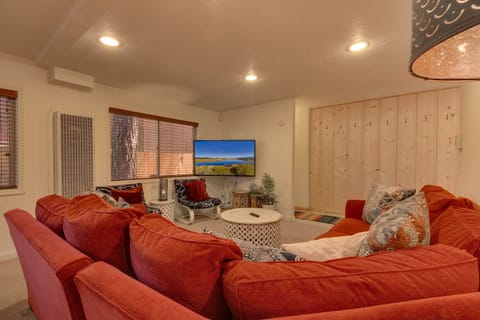 TV, fireplace, books