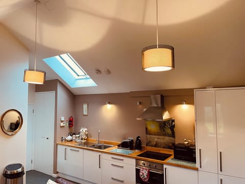 Vaulted ceiling with roof light