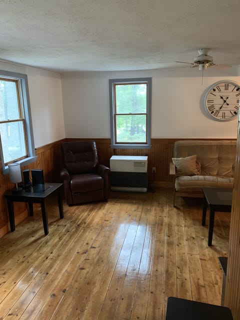 Living Room area with new leather chair & new futon (Queen Size)