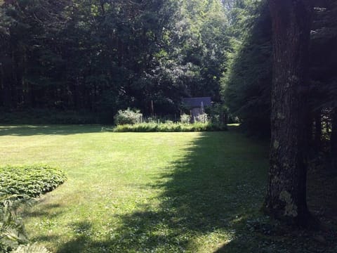 Large lawn and seasonal garden.  
