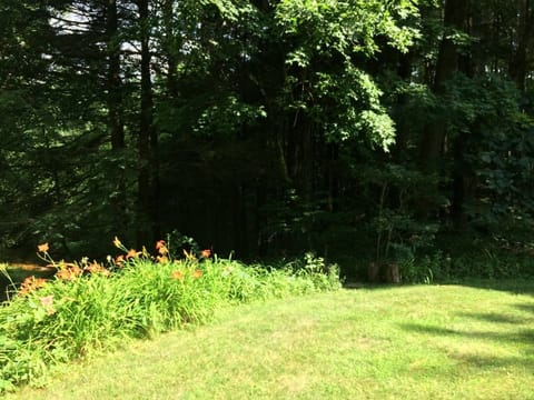 Edge of our meadow, river below.