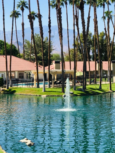 View from the balcony