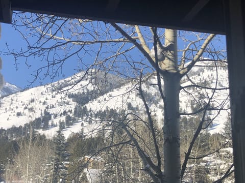 Living Room View from Condo